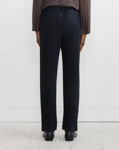 Basics Pant in Navy