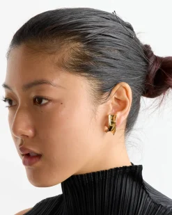 Calamari Set Earrings in Gold Plated Bronze