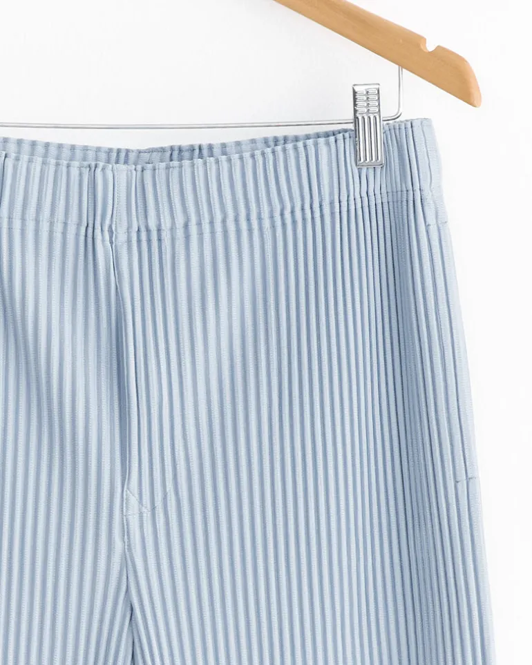 Color Pleats Short in Grey Blue