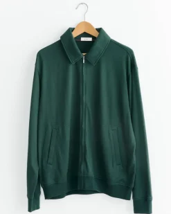 Cotton Jersey in Dark Green