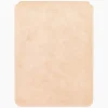 iPad Case in Natural