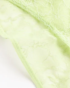 Marie Brief in Matcha