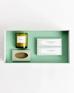 Mini Garden Discovery Set