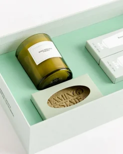 Mini Garden Discovery Set