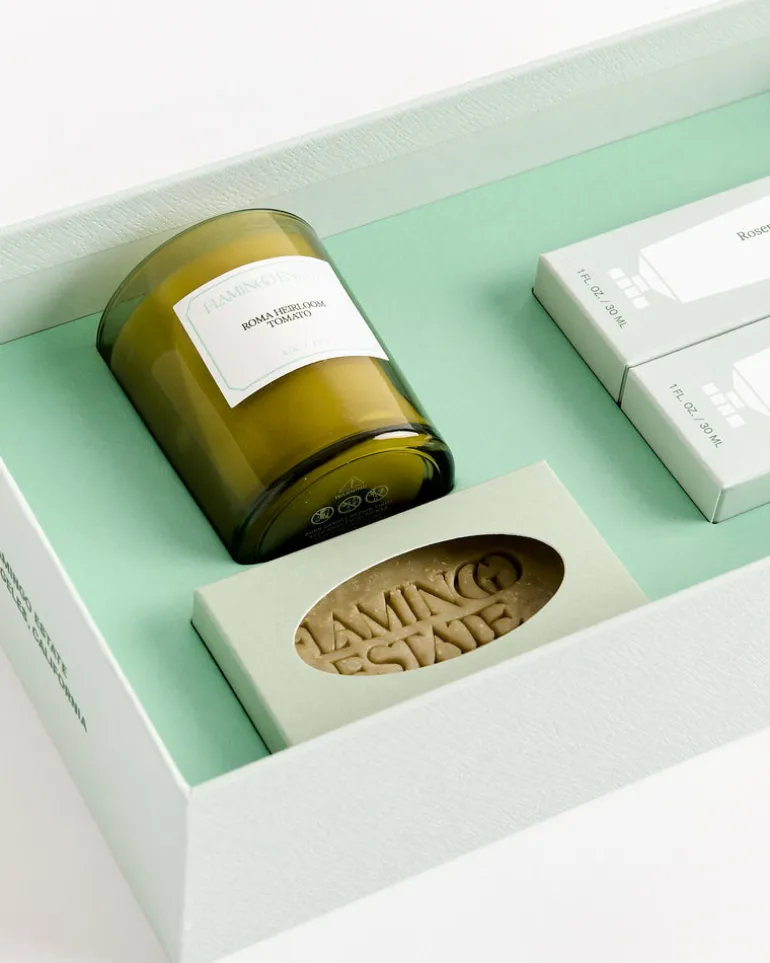 Mini Garden Discovery Set