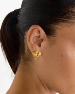 Notsobig Groundswell Earrings