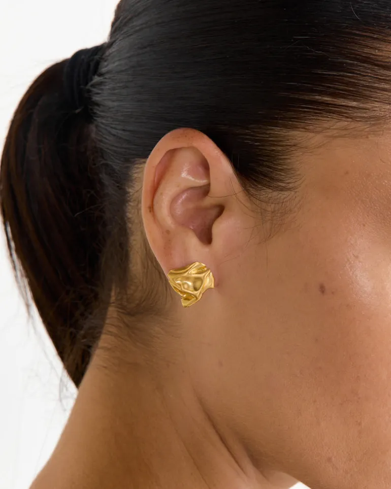 Notsobig Groundswell Earrings