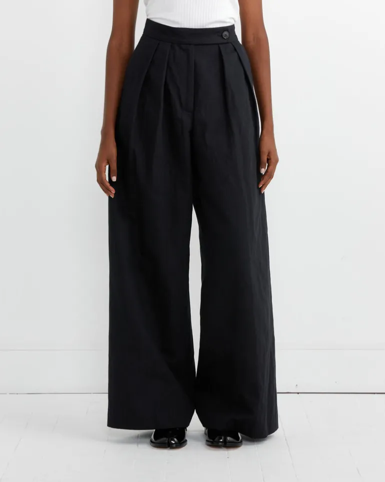 Pleated Wide-Leg Pants in Black