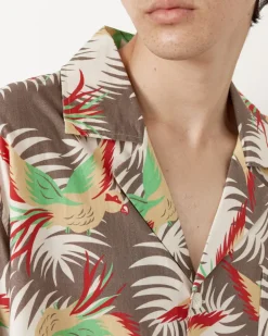 Sun Conure Long Sleeve Shirt in Multi