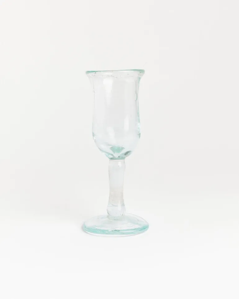 Tulipe in Transparent